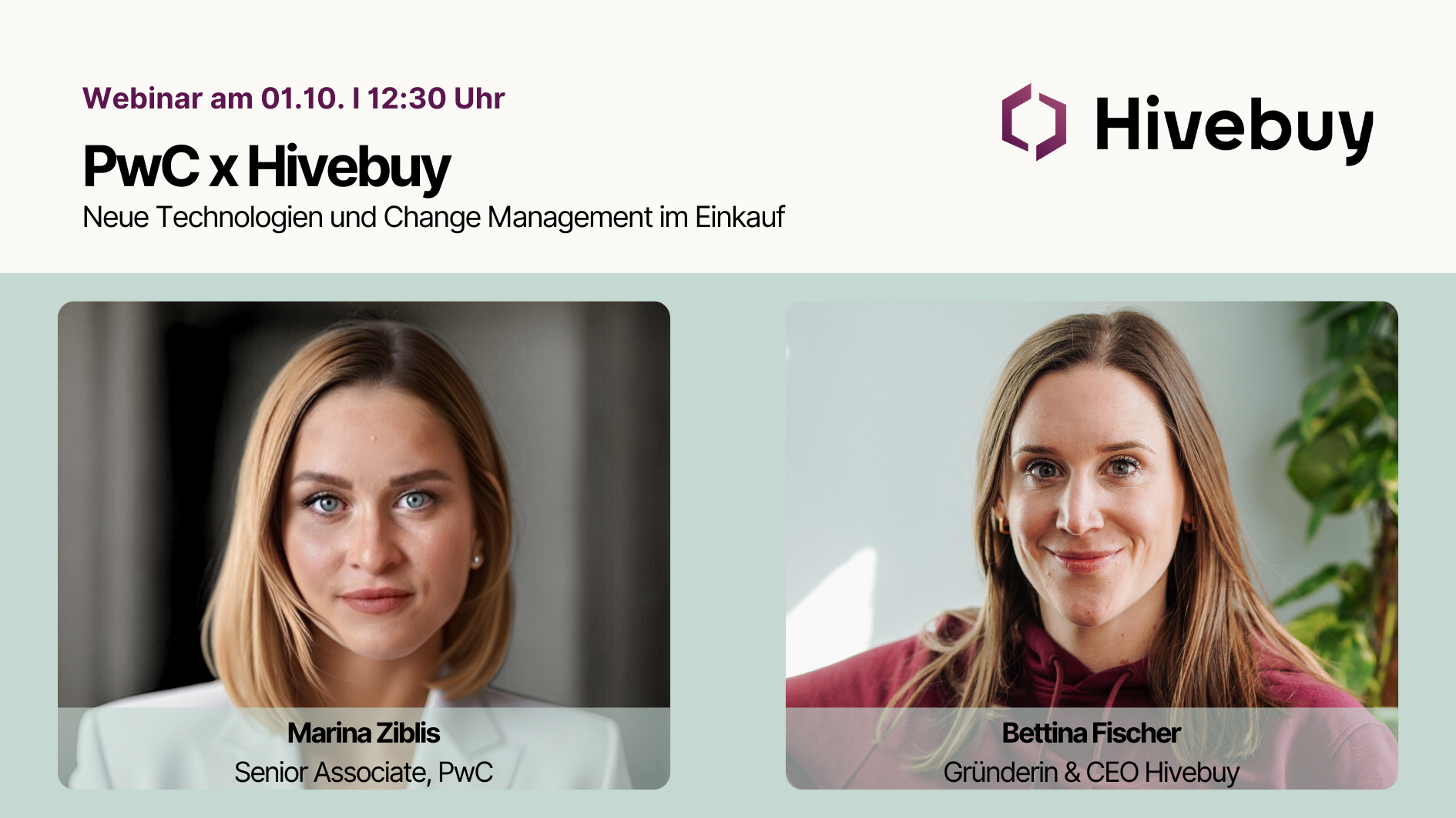 Hivebuy PwC Webinar Ad LinkedIn (16 x 9 cm)